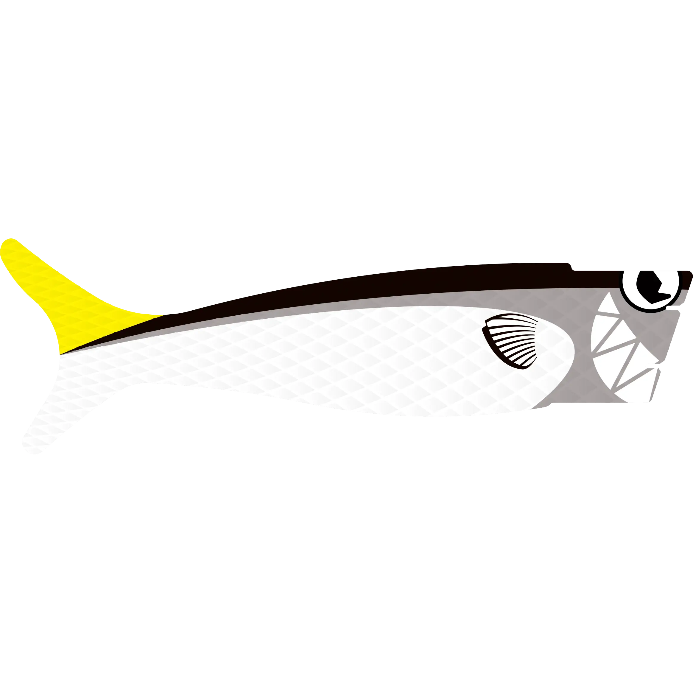 Black Mullet